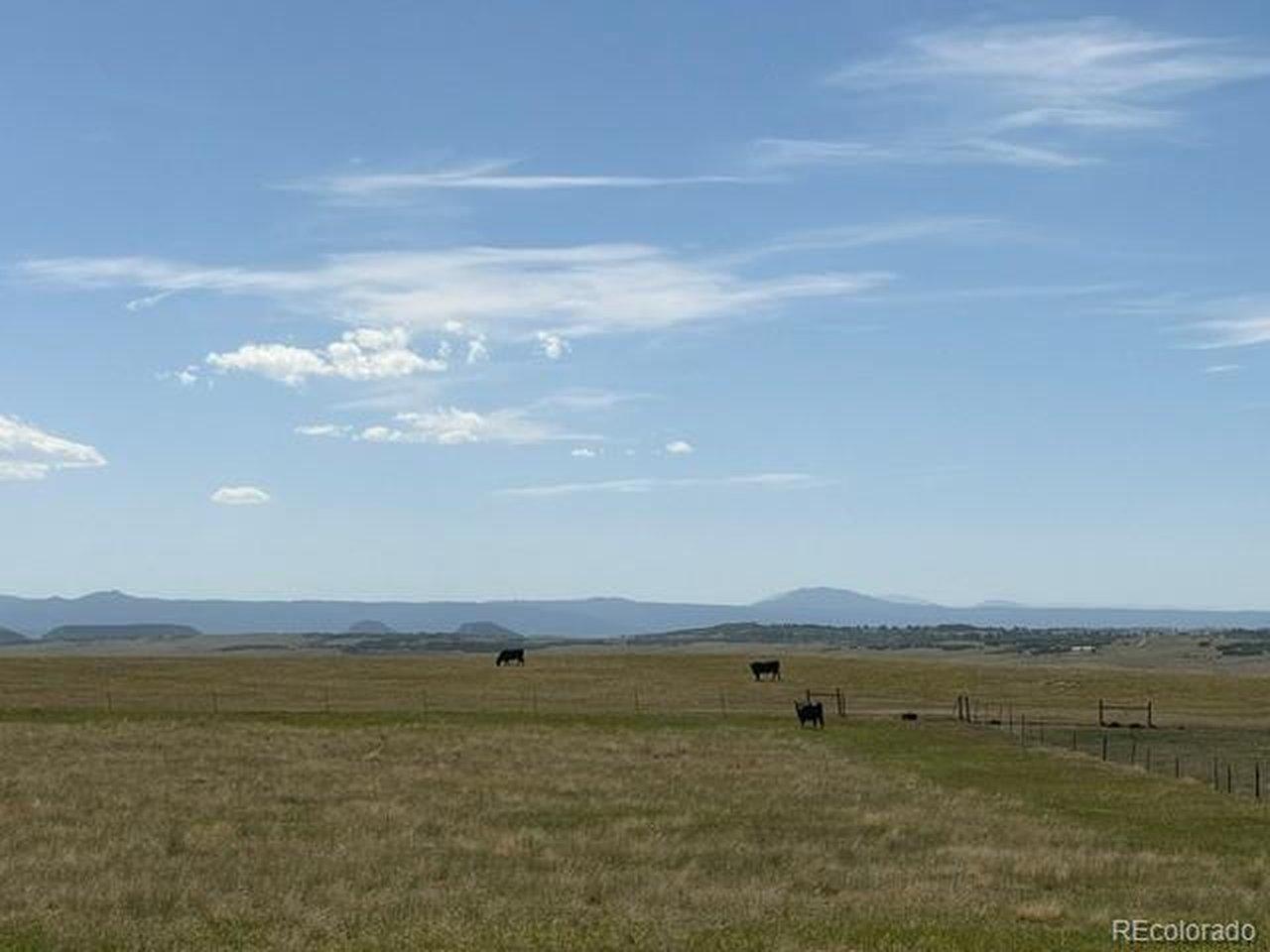 Image 3 Image 3