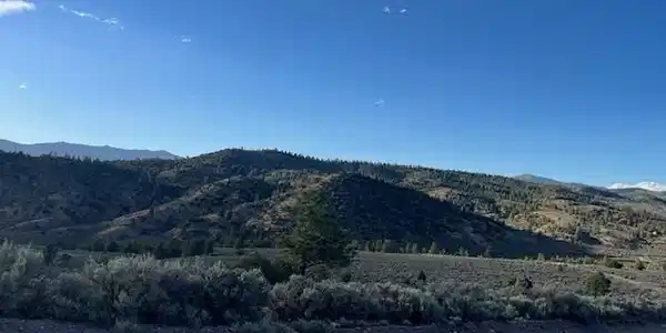 Image 3 Image 3