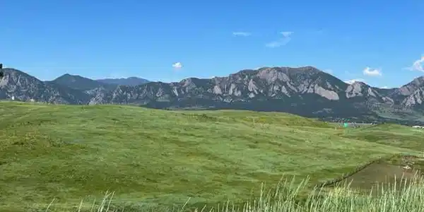 Image 4 Image 4