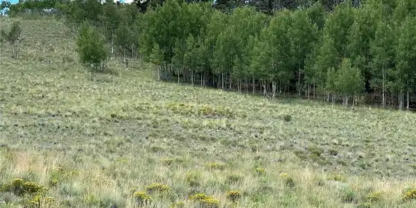 Image 2 Image 2
