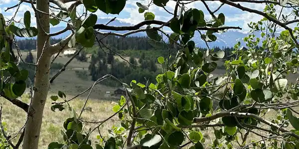 Image 3 Image 3