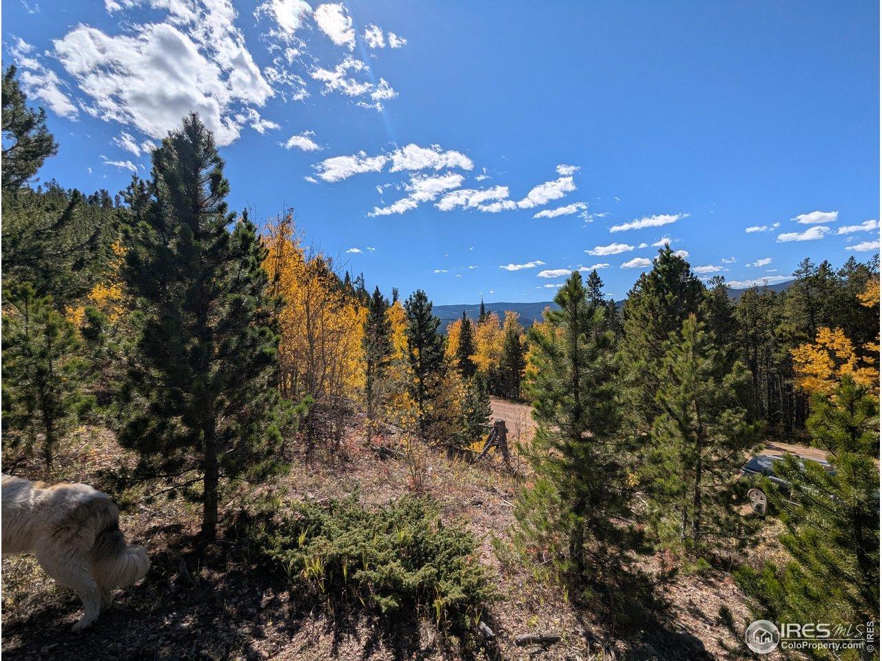 Image 3 Image 3