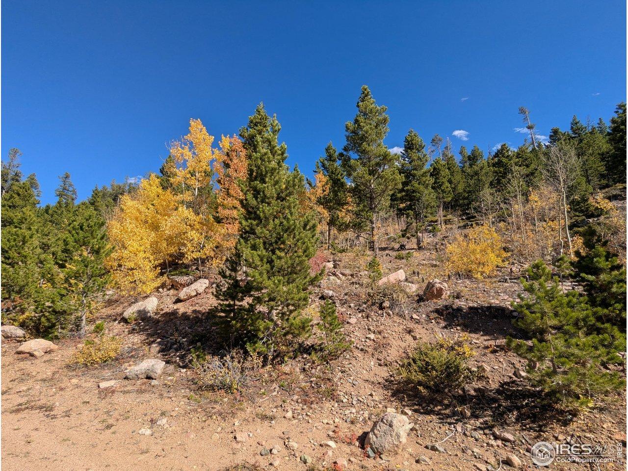 Image 4 Image 4