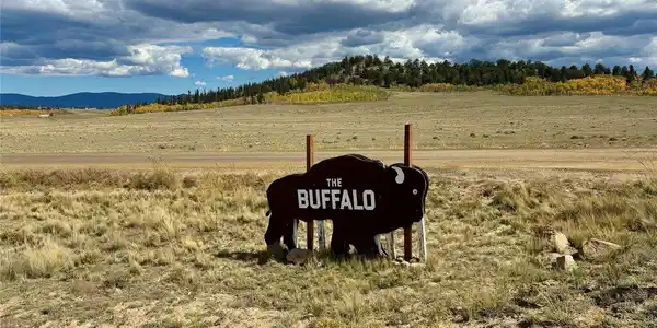 Image 2: The Buffalo Subdivision entrance sign