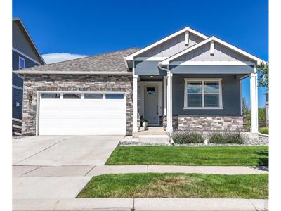 903 Rollins Den Dr