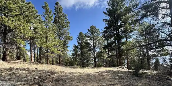 30317 Aspen Turn