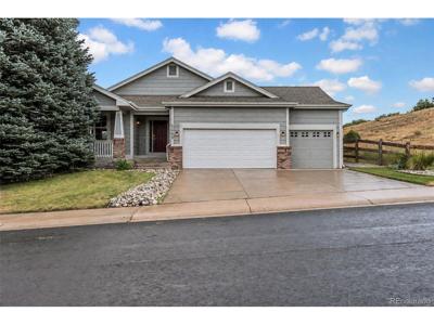 1048 Switch Grass Dr