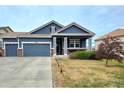 5051 S Netherland Way
