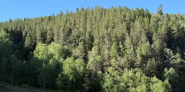 Image 2 Image 2