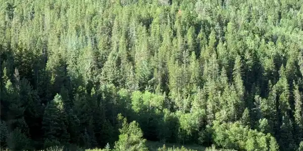 Image 4 Image 4