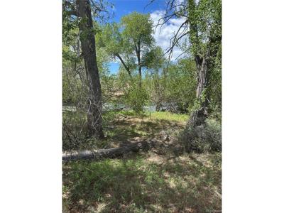 109 Alamosa River Estates