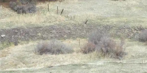 Image 4 Image 4