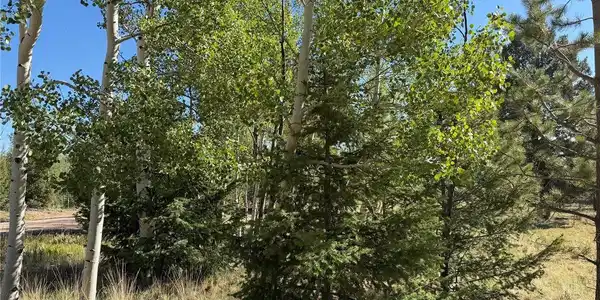 Image 4 Image 4