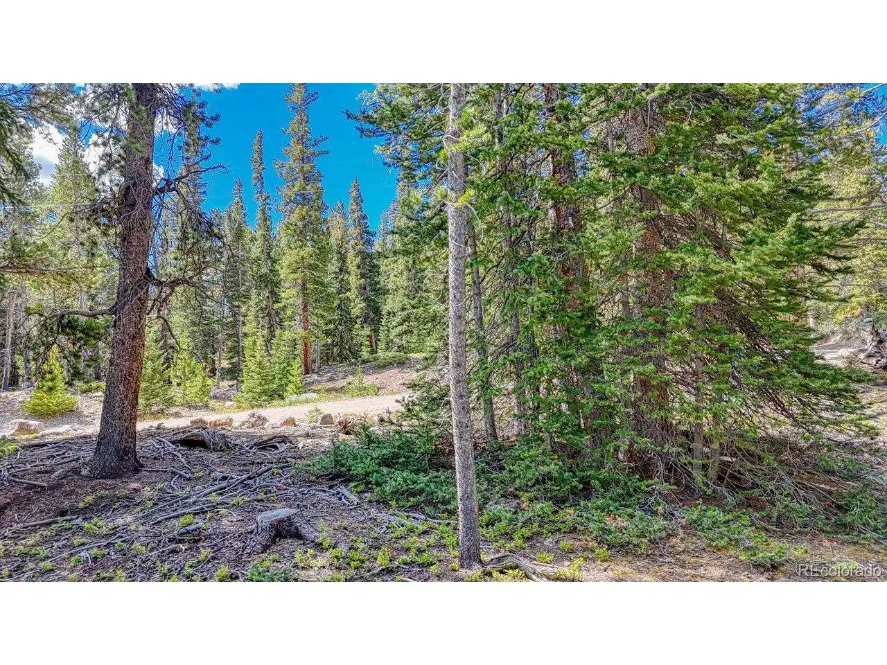Image 1 Image 1