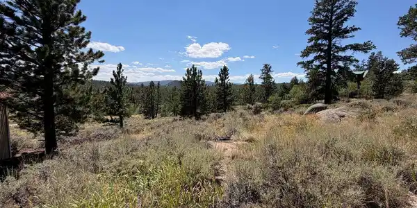 Image 3 Image 3