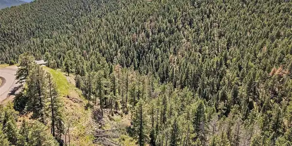 Image 3: A beautiful mountain landscape in the heart of Conifer.