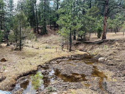 36 Logging Canyon Rd