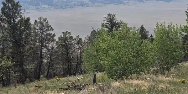 525 Middle Fork Vis