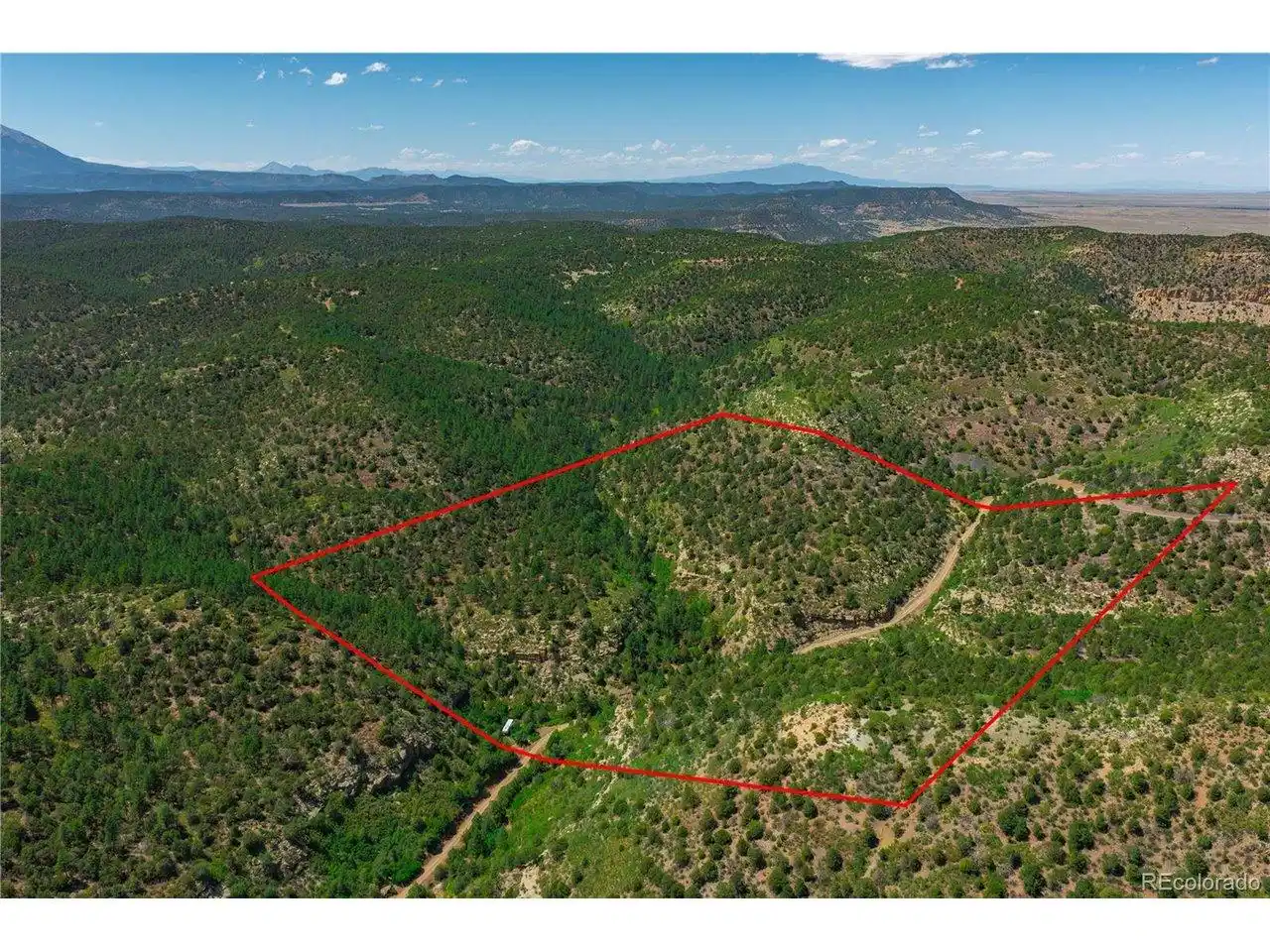 Image 1 Image 1