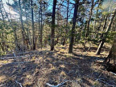 5888 Loubier Rd