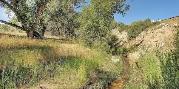 11355 County Road 251-1