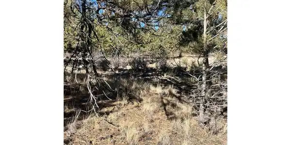 Image 4 Image 4
