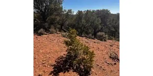 Image 4 Image 4