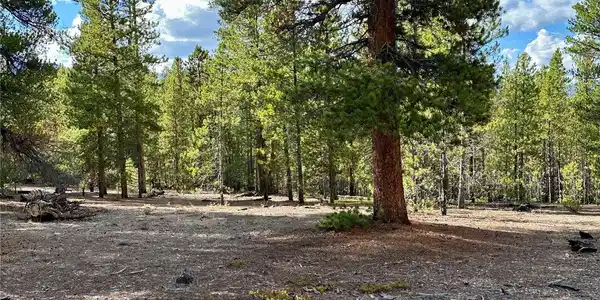 Image 2: Double Lot Image 2: Double Lot