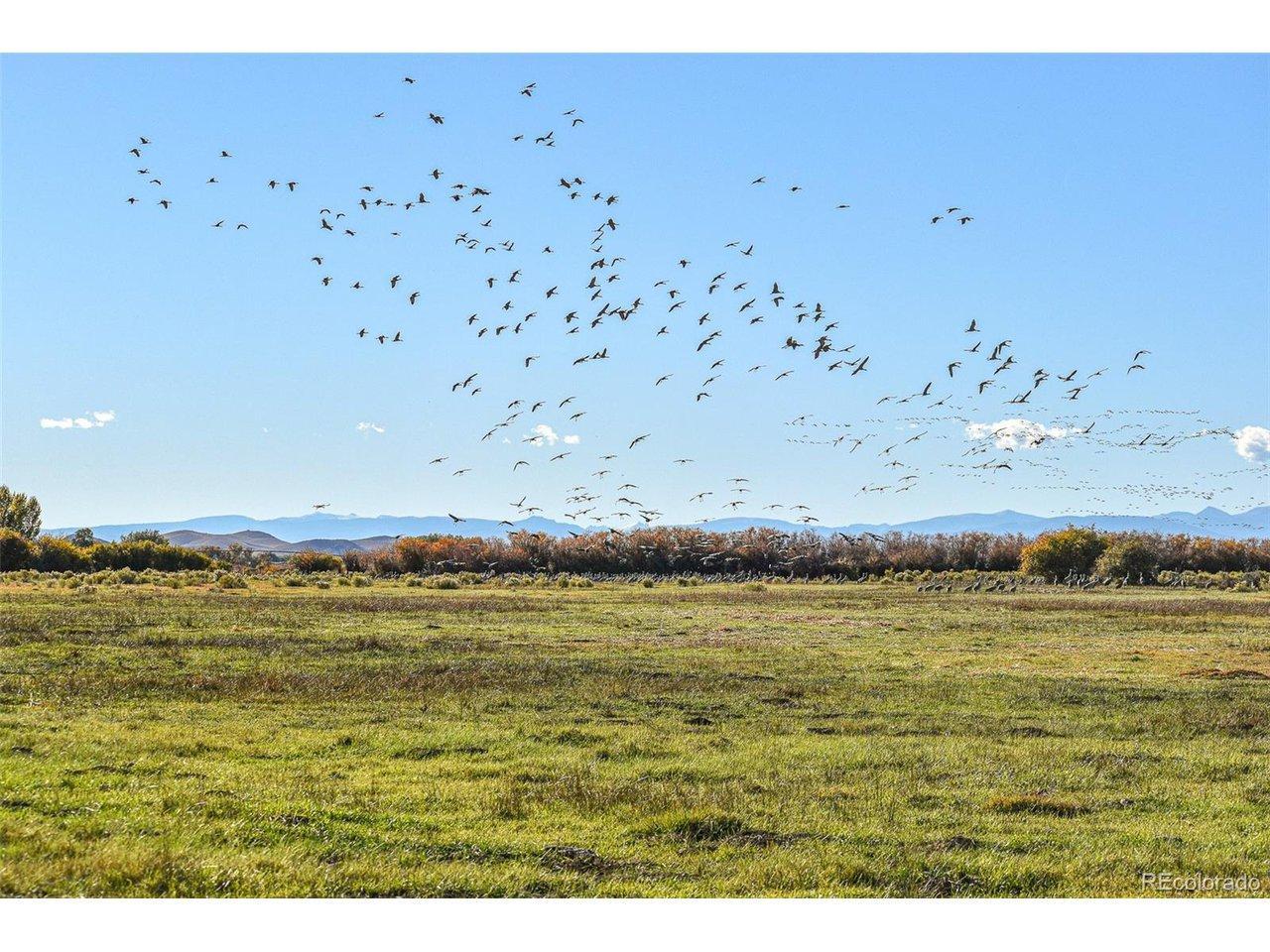 Image 2 Image 2
