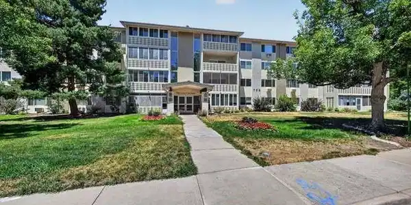Image 4 Image 4