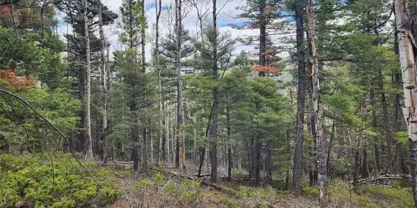 Image 2 Image 2