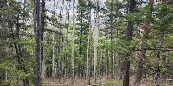 Image 4 Image 4