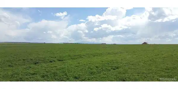 Image 2 Image 2