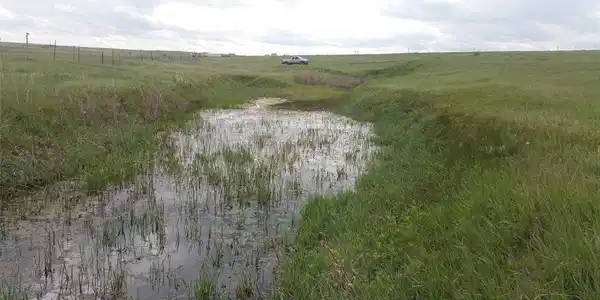 Image 3 Image 3