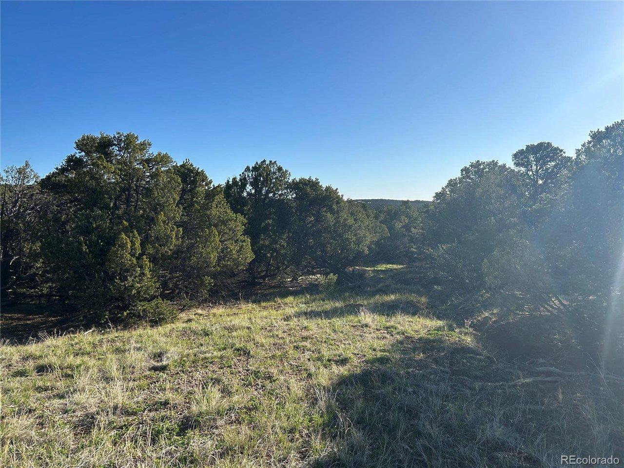 Image 4 Image 4