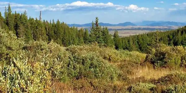 Image 4: Mountain ViewsExpansive mountain views create a dramatic backdrop and showcase the beauty of this Alma setting. Image 4: Mountain ViewsExpansive mountain views create a dramatic backdrop and showcase the beauty of this Alma setting.