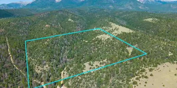 Image 3: 40 treed acres Image 3: 40 treed acres