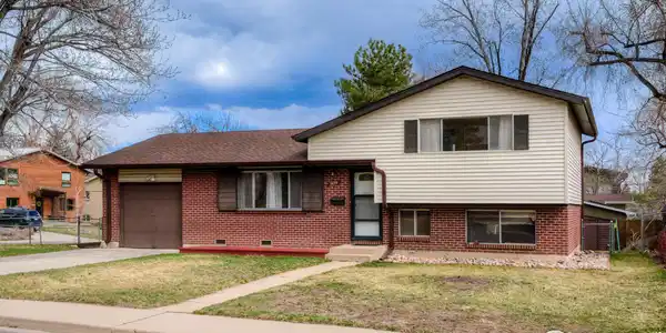 3690 Conifer