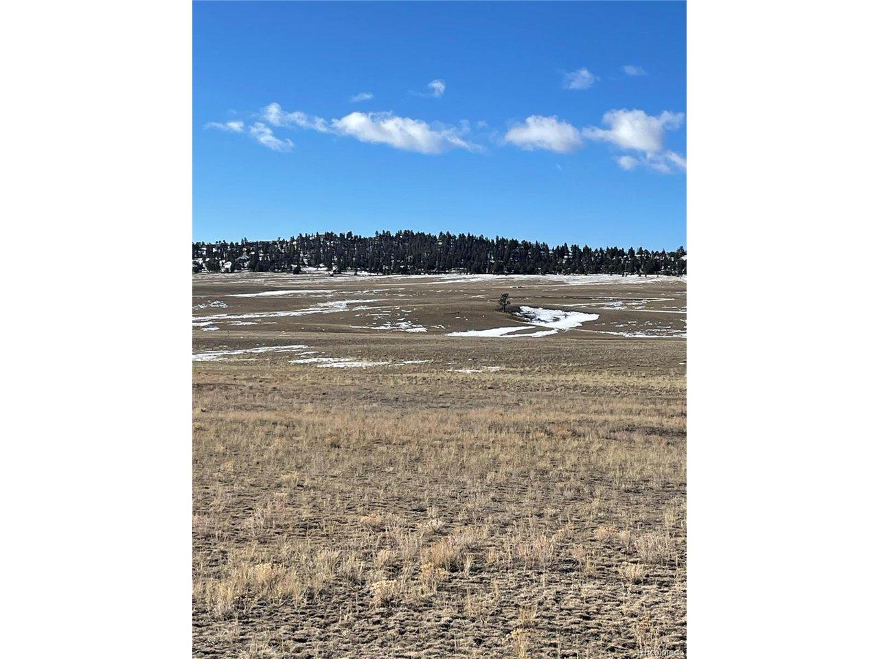 Image 4 Image 4
