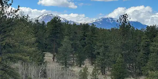Image 4: Buffalo Peaks Views