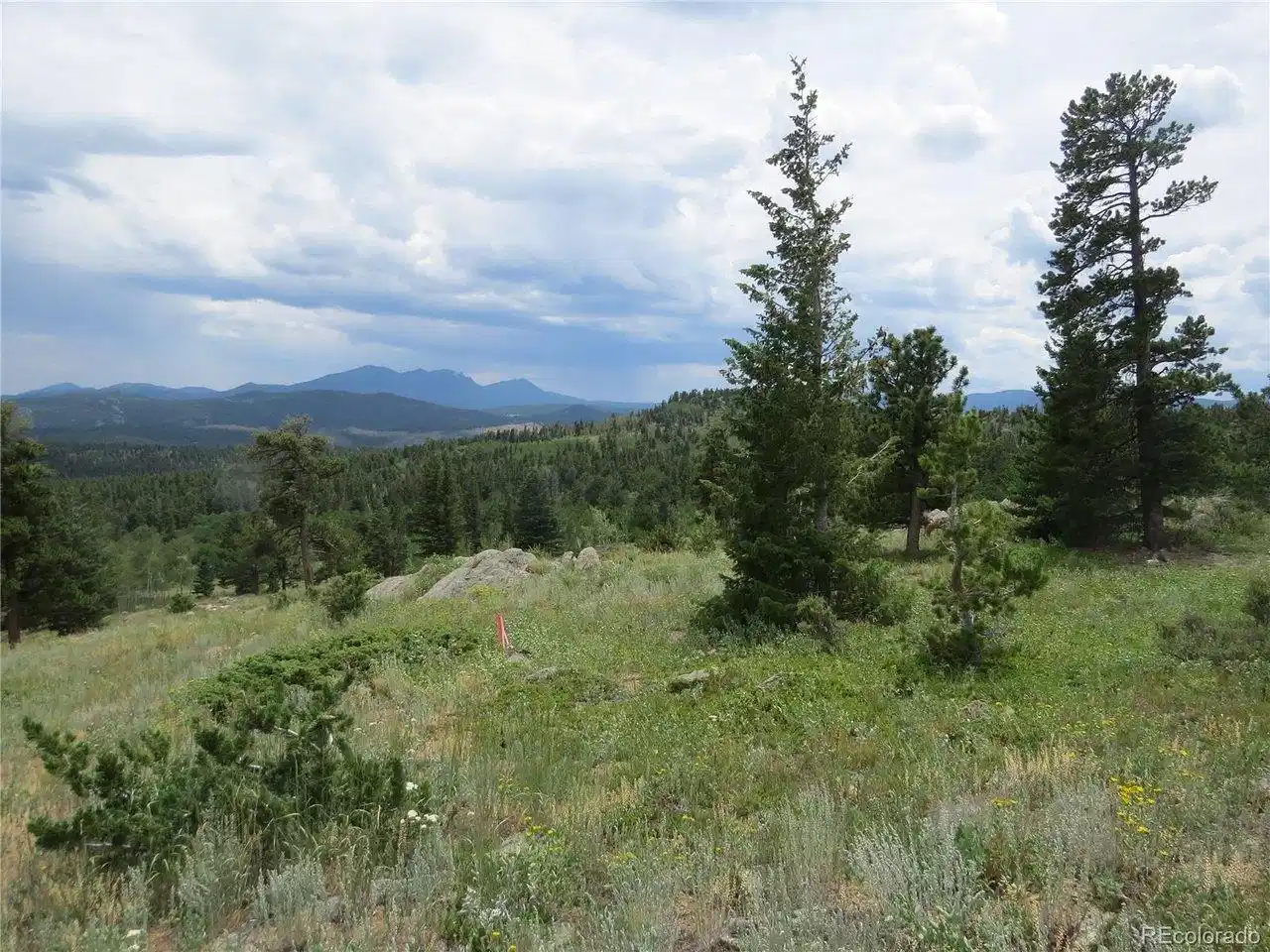 Image 1: View from top of property Image 1: View from top of property