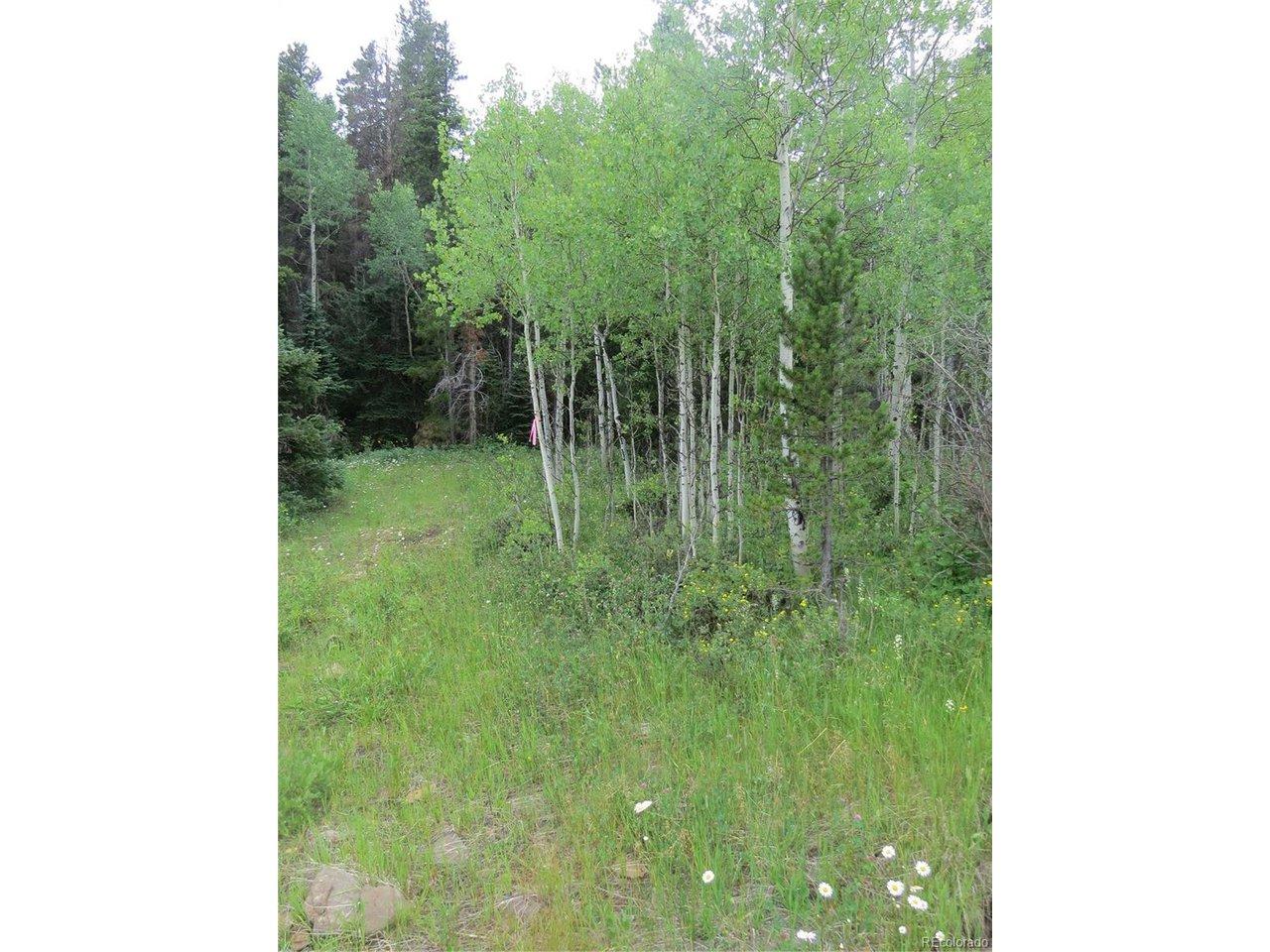 Image 3: Aspen grove lower portion of property