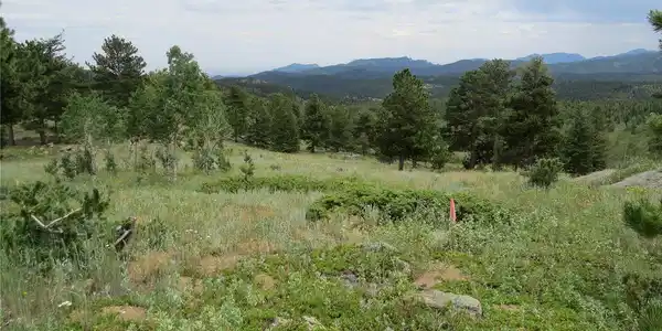 Image 4 Image 4