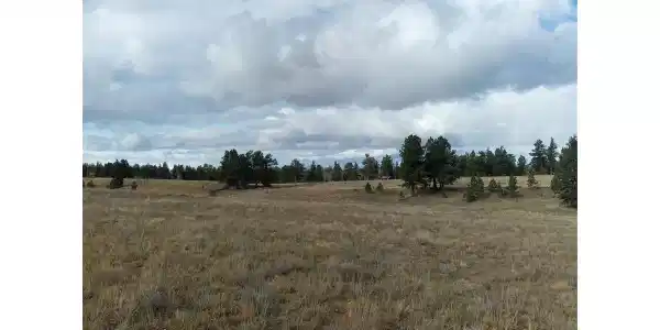 0 Singletree Rd
