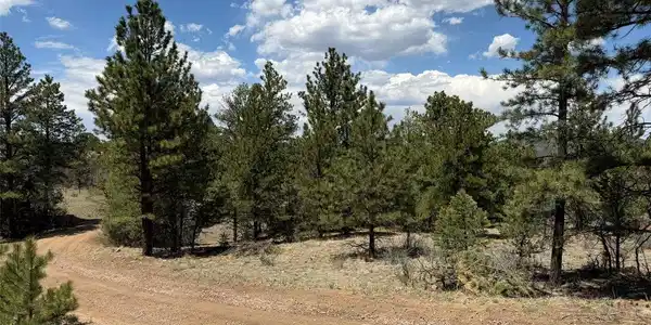 Image 4 Image 4