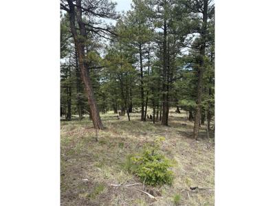 1120 N Mountain Estates Rd