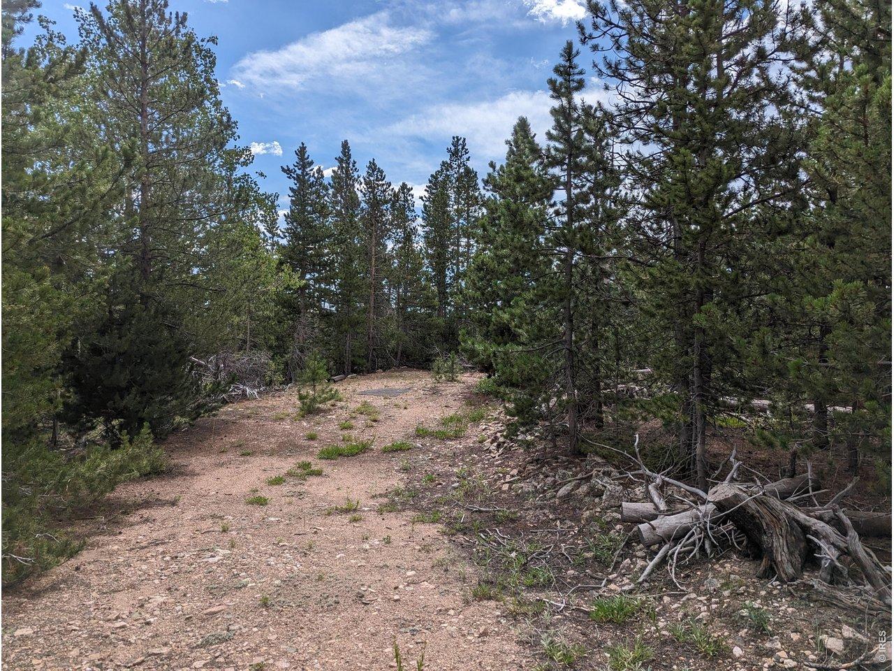 Image 3 Image 3