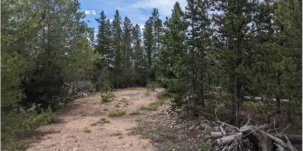 Image 3 Image 3