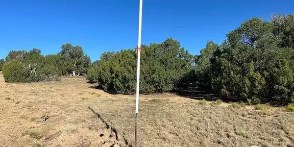 Image 4 Image 4