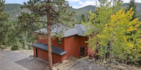 Image 3: Quintessential Evergreen